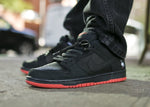 TÊNIS DUNK LOW POMBO